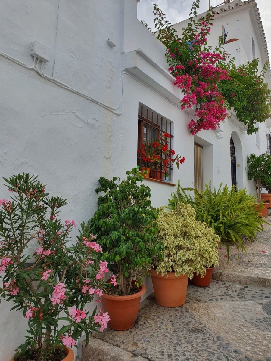 Axarquia and Frigiliana - a short walk full of history and interesting facts